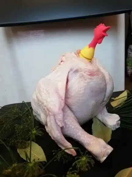Image #1 from N***a