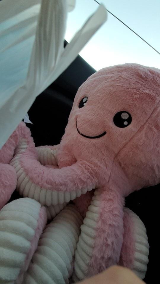 Image #1 from Anonymous