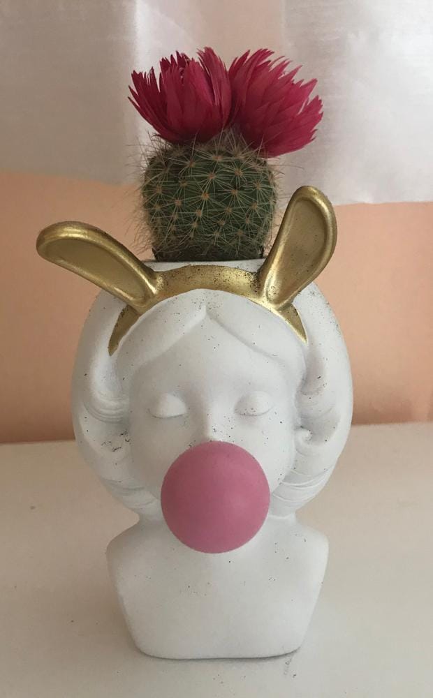 Image #1 from Anonymous