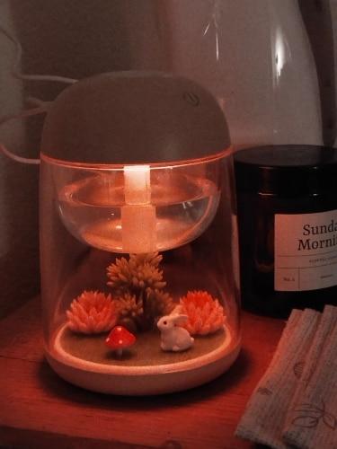 Image #1 from ????***????