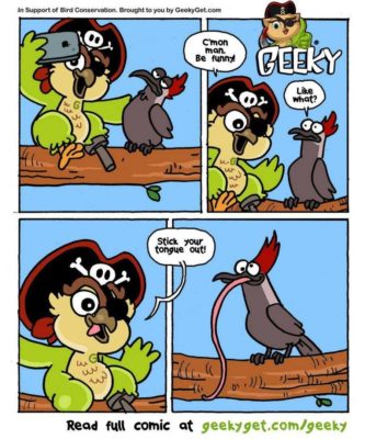 Fun Fact No.7 - Woodpecker's Amazing Tongue-GeekyGet