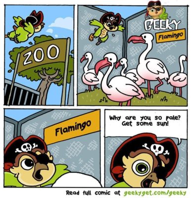 Fun Fact No.5 - A White Flamingo?!-GeekyGet