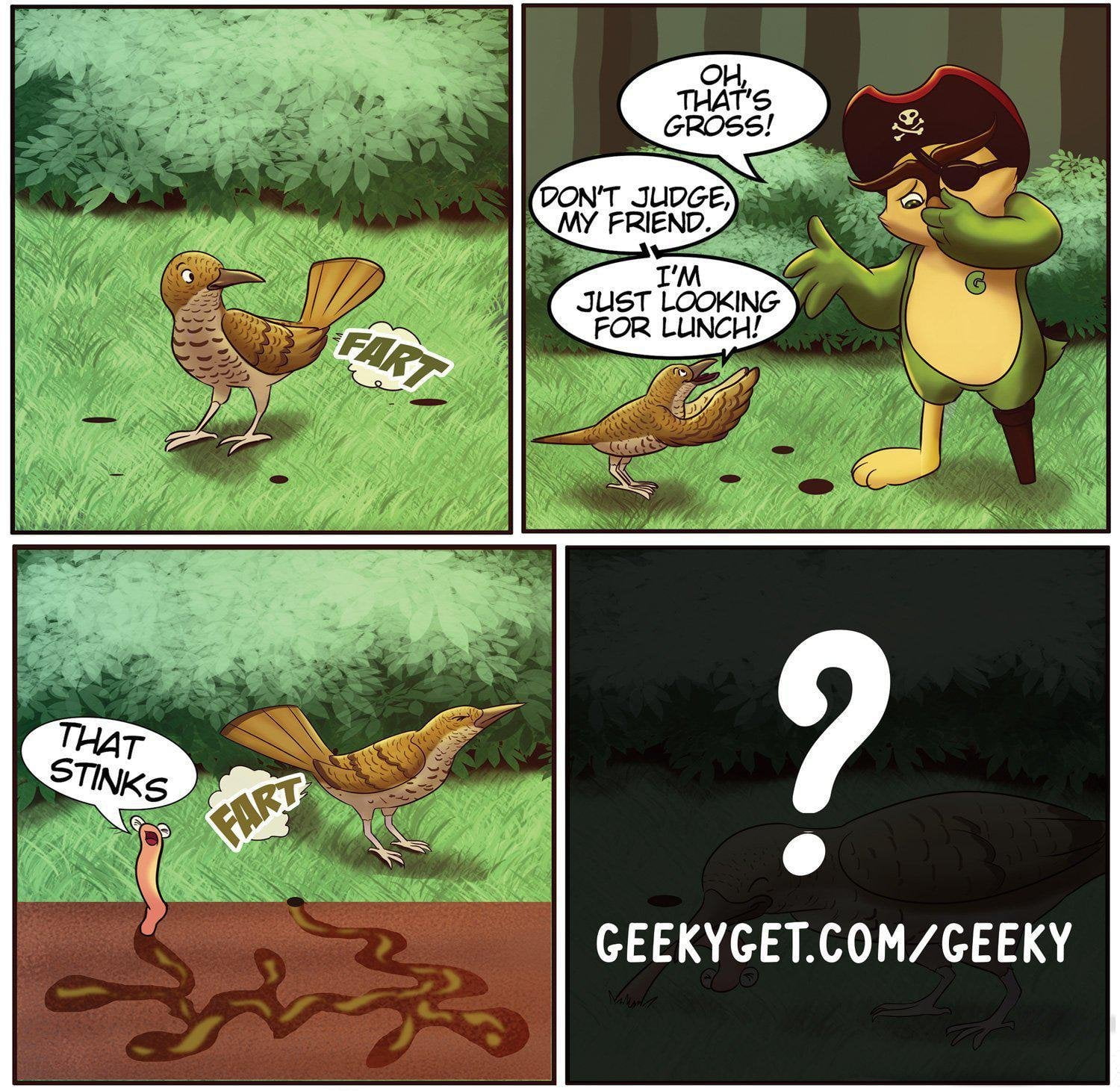 Fun Fact No.1 - Bassian Thrush Farts!-GeekyGet