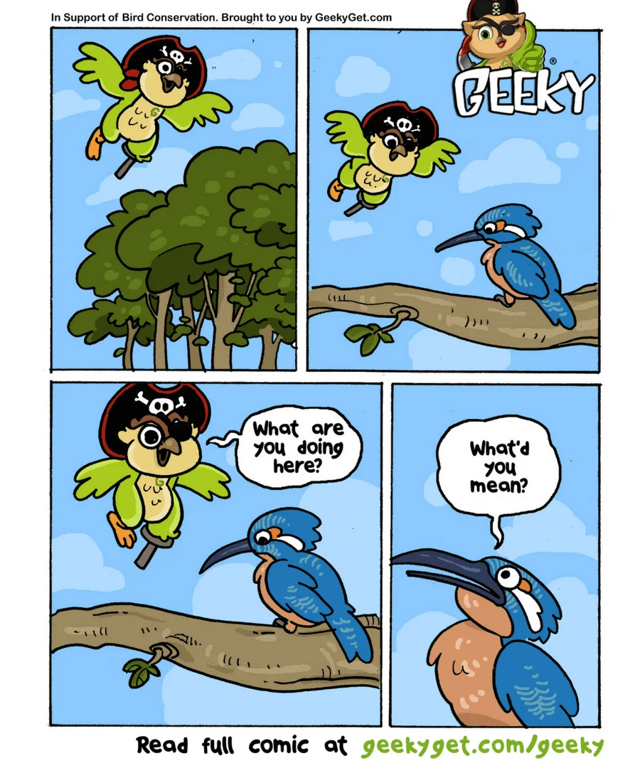 Fun Fact No.10 - Kingfishers That Don't Fish?-GeekyGet