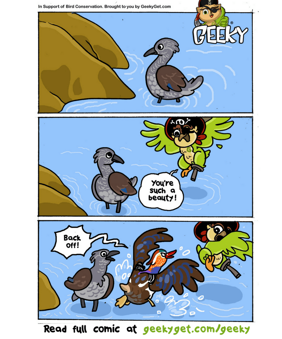 Fun Fact No.11 (Valentine's Day Edition) - Mandarin Duck Got A Soulmate!-GeekyGet