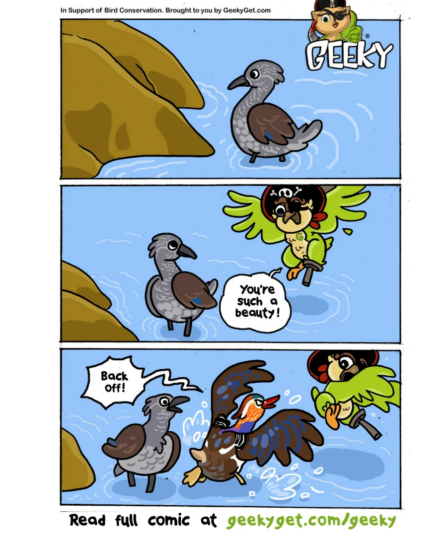 Fun Fact No.11 (Valentine's Day Edition) - Mandarin Duck Got A Soulmate!-GeekyGet