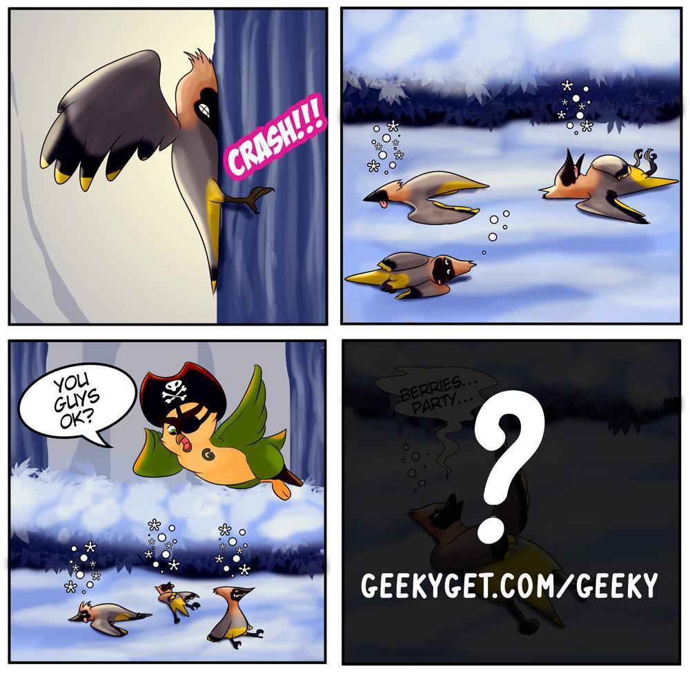 Fun Fact No.2 - Cedar Waxwing Getting Drunk!-GeekyGet