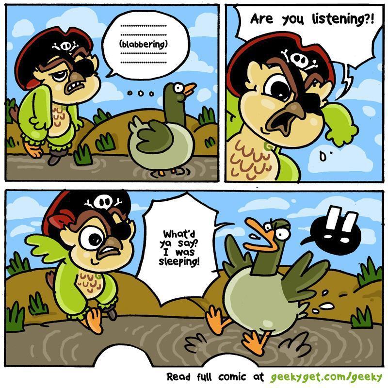 Fun Fact No.4 - Duck Sleeps With One Eye Open-GeekyGet