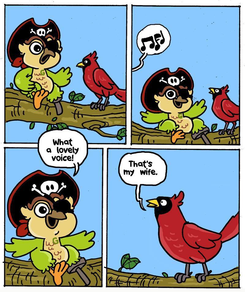 Fun Fact No.6 - Cardinal Sings For Food!-GeekyGet