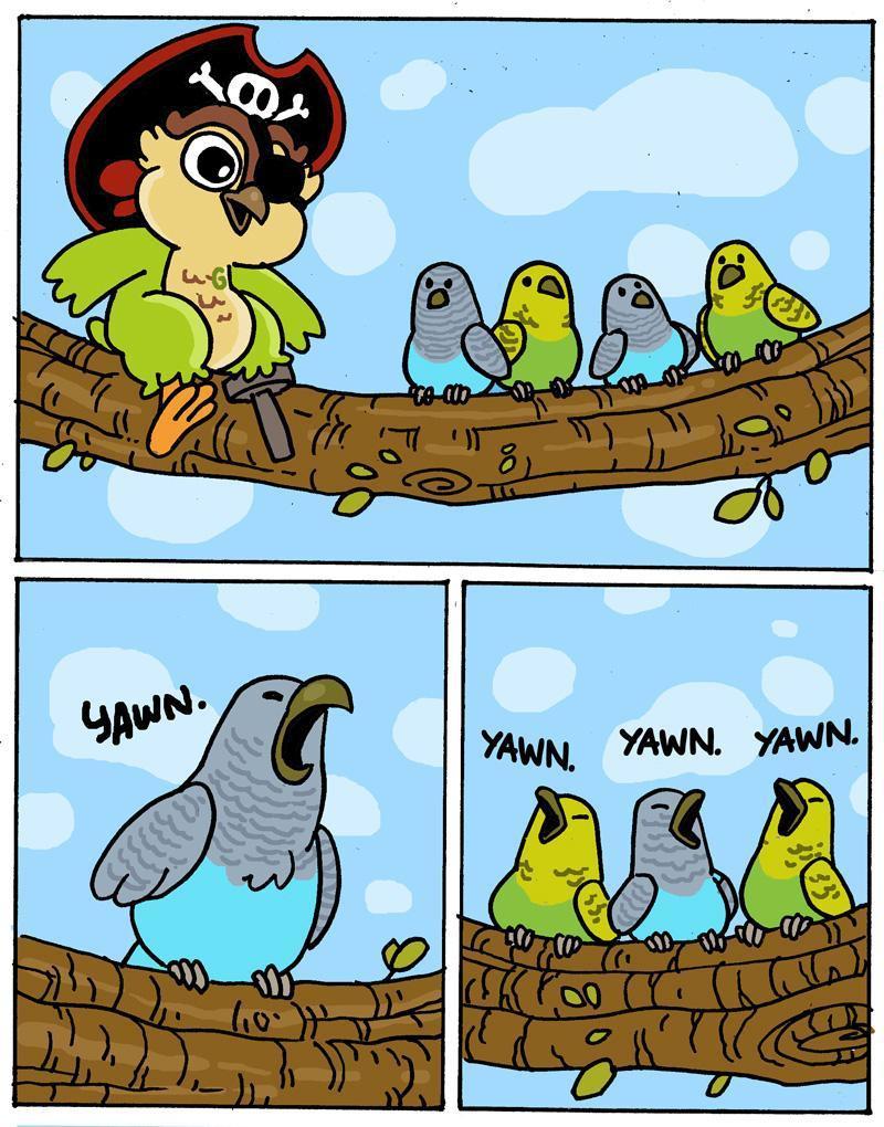 Fun Fact No.9 - Budgies' Contagious Yawn-GeekyGet