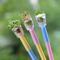 Real Mini Potted Plant Pens - Image 10