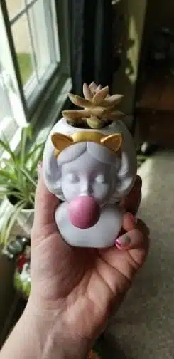 Image #1 from N***n