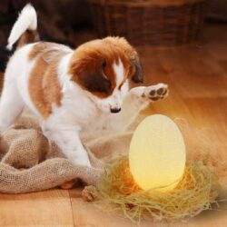 Alternative view of 3D Dinosaur Egg Color Change Nightlight