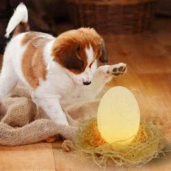 Alternative view of 3D Dinosaur Egg Color Change Nightlight
