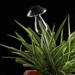 Bird Snail Self Watering Glass Globe - Image 3