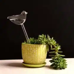 Bird Snail Self Watering Glass Globe - Image 6