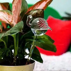 Bird Snail Self Watering Glass Globe - Image 7