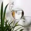 Snail
