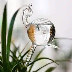 Bird Snail Self Watering Glass Globe - Image 4