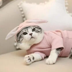 Bunny Ears Pet Costume For Cats And Dogs