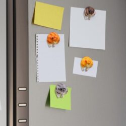 Alternative view of Cat Butt and Balls Fridge Magnets