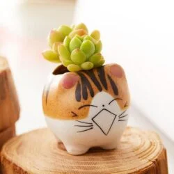 Alternative view of Cat Ceramic Planter Pot Terrarium