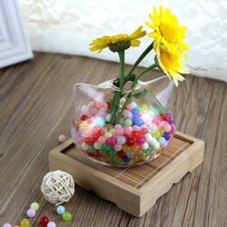 Alternative view of Cat Shaped Glass Terrarium