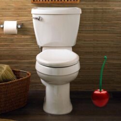 Alternative view of Cherry Lavatory Brush