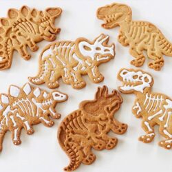 Alternative view of Dinosaur Fossil Cookie Cutters and Skeleton Stampers
