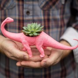 Alternative view of Dinosaur Planter Terrarium