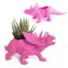 Triceratops - Pink