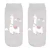 Alpaca 22