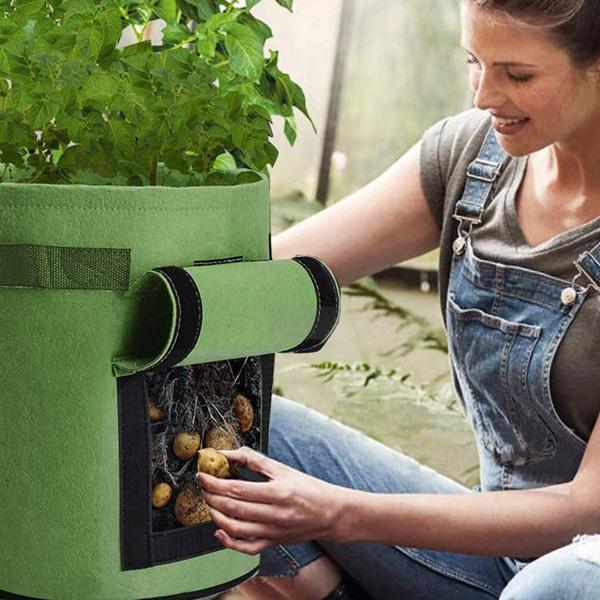 Garden Plant Grow Bag with Access Flap