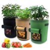 Garden Plant Grow Bag with Access Flap