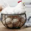 Hen