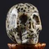 Dalmatian