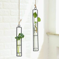 Alternative view of Hanging Glass Tube Plant Terrarium with Iron Frame
