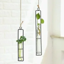 Alternative view of Hanging Glass Tube Plant Terrarium with Iron Frame