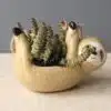 Full Sloth B
