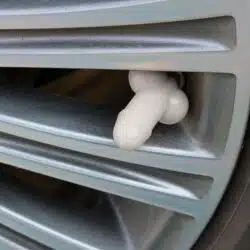 Penis Tire Valve Stem Caps - Image 6