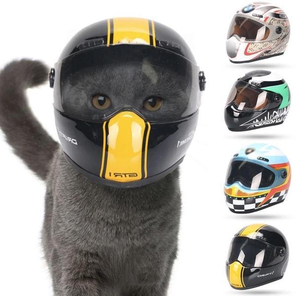 Pet Puppy And Race Car Helmets -