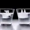 Polar Bear Penguin Ice Molds