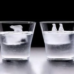 Polar Bear Penguin Ice Molds
