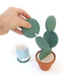 Alternative view of Potted Cactus Coasters