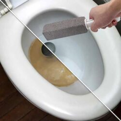 Pumice Stone Toilet Cleaner