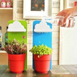 Alternative view of Rain Cloud Watering Planter