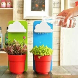 Alternative view of Rain Cloud Watering Planter