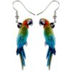 Macaws Parrot-4