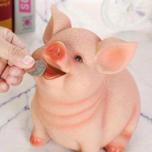 piggy bank with money