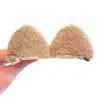 Brown Furry